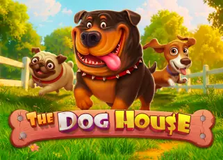 winsands ทางเข้า The Dog House ทดลองเล่นฟรี
